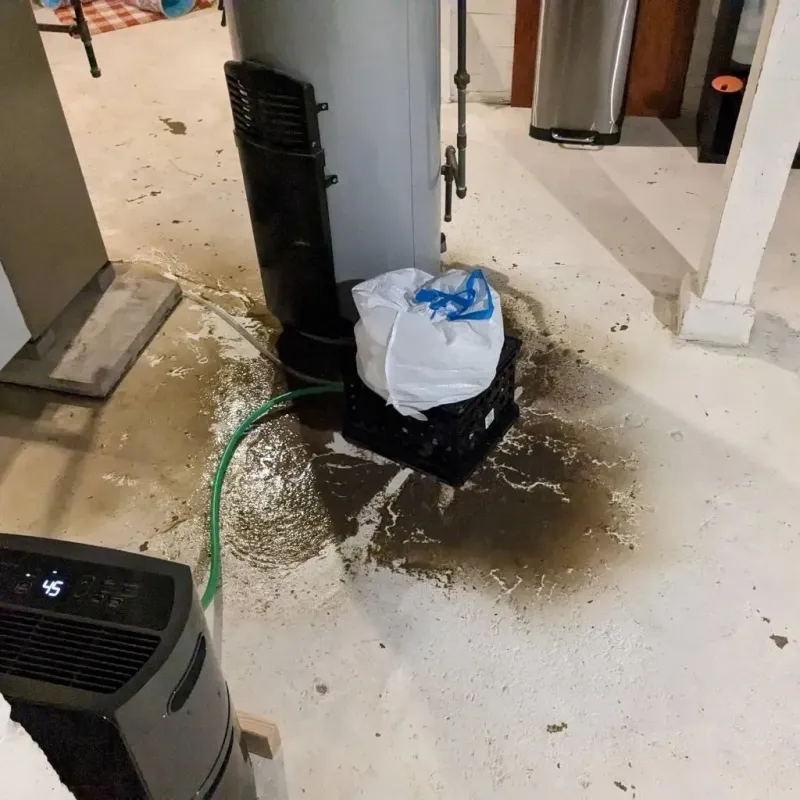 Sewage Backup Cleanup Service in Owens Cross Roads, AL